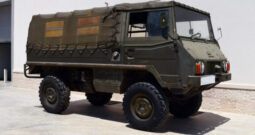 Pinzgauer_1-600×338